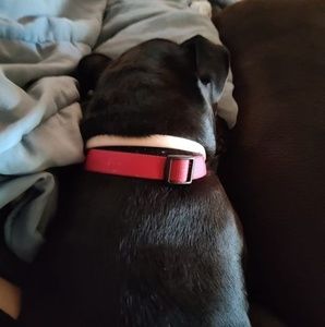 Meet your Posher, Jacob